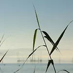 公寓 Plau Lagoons