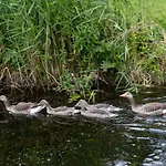 Plau Lagoons Lejlighed *