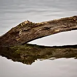 Plau Lagoons
