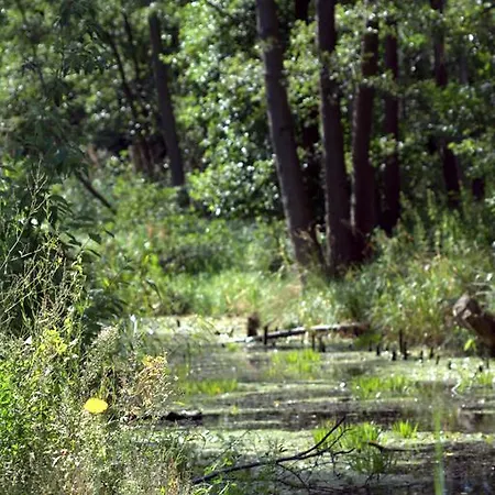 Plau Lagoons * Plau am See