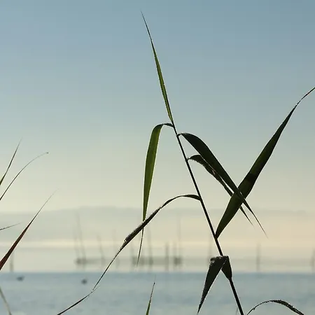 Apartmán Plau Lagoons