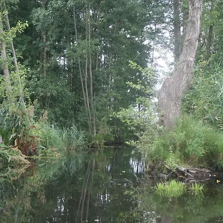 Plau Lagoons *