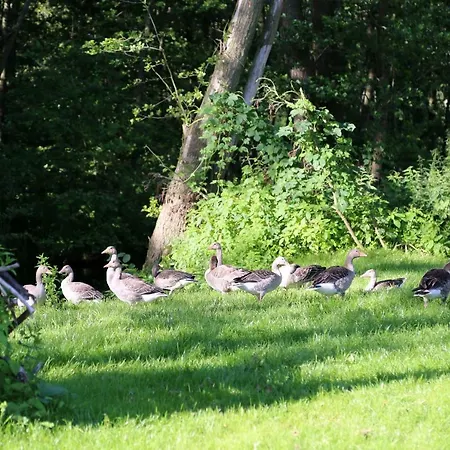 Apartmán Plau Lagoons Plau am See
