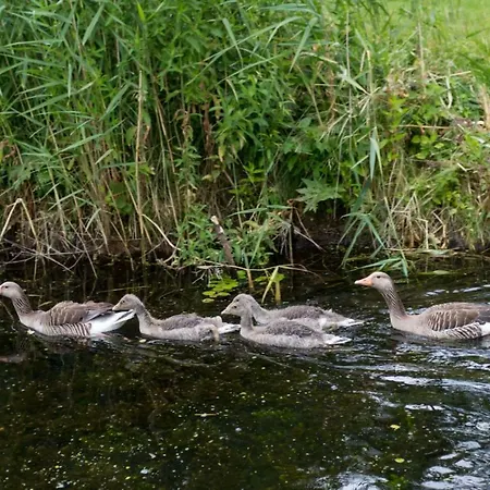 Plau Lagoons Apartmán *