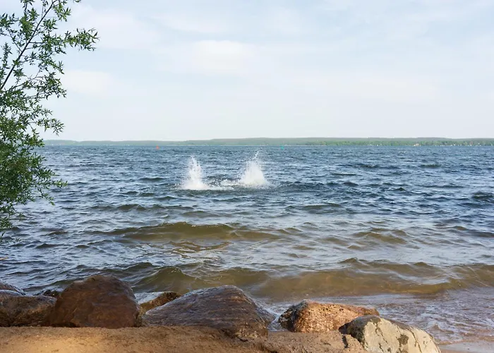 Plau Lagoons * بلاو ام سي