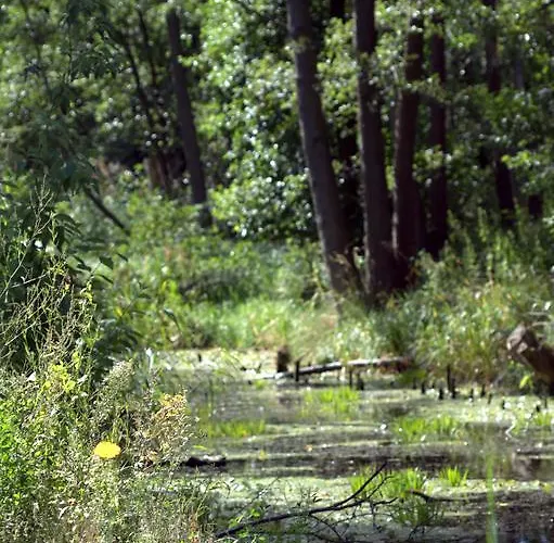 Plau Lagoons * פלאו אם זה