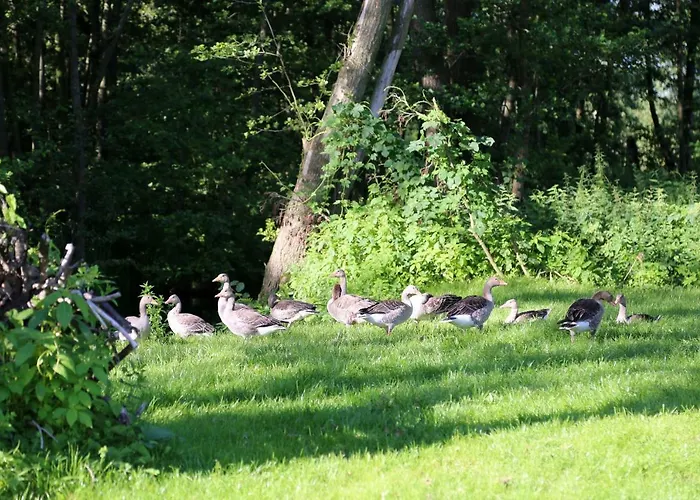 דירה Plau Lagoons פלאו אם זה