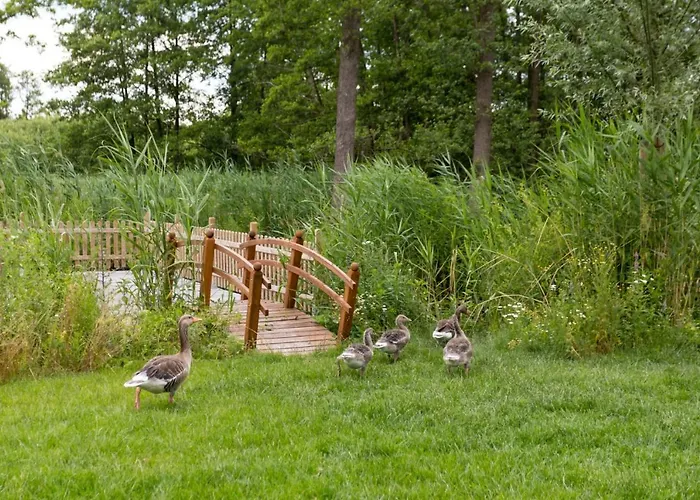 شقة Plau Lagoons بلاو ام سي