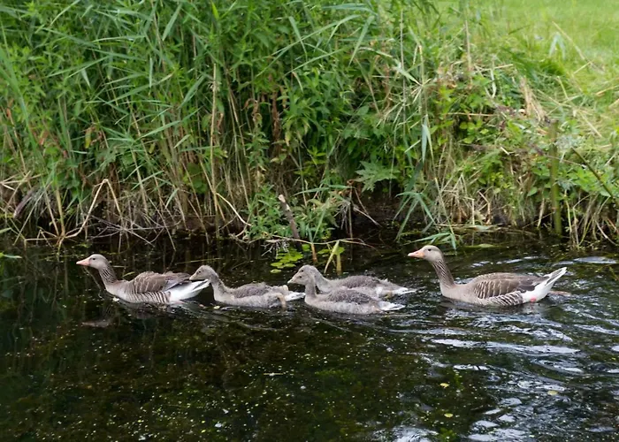Plau Lagoons דירה *